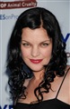 Pauley Perrette