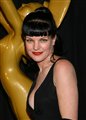 Pauley Perrette