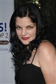 Pauley Perrette