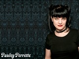 Pauley Perrette