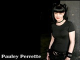 Pauley Perrette