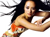 Zhang Ziyi