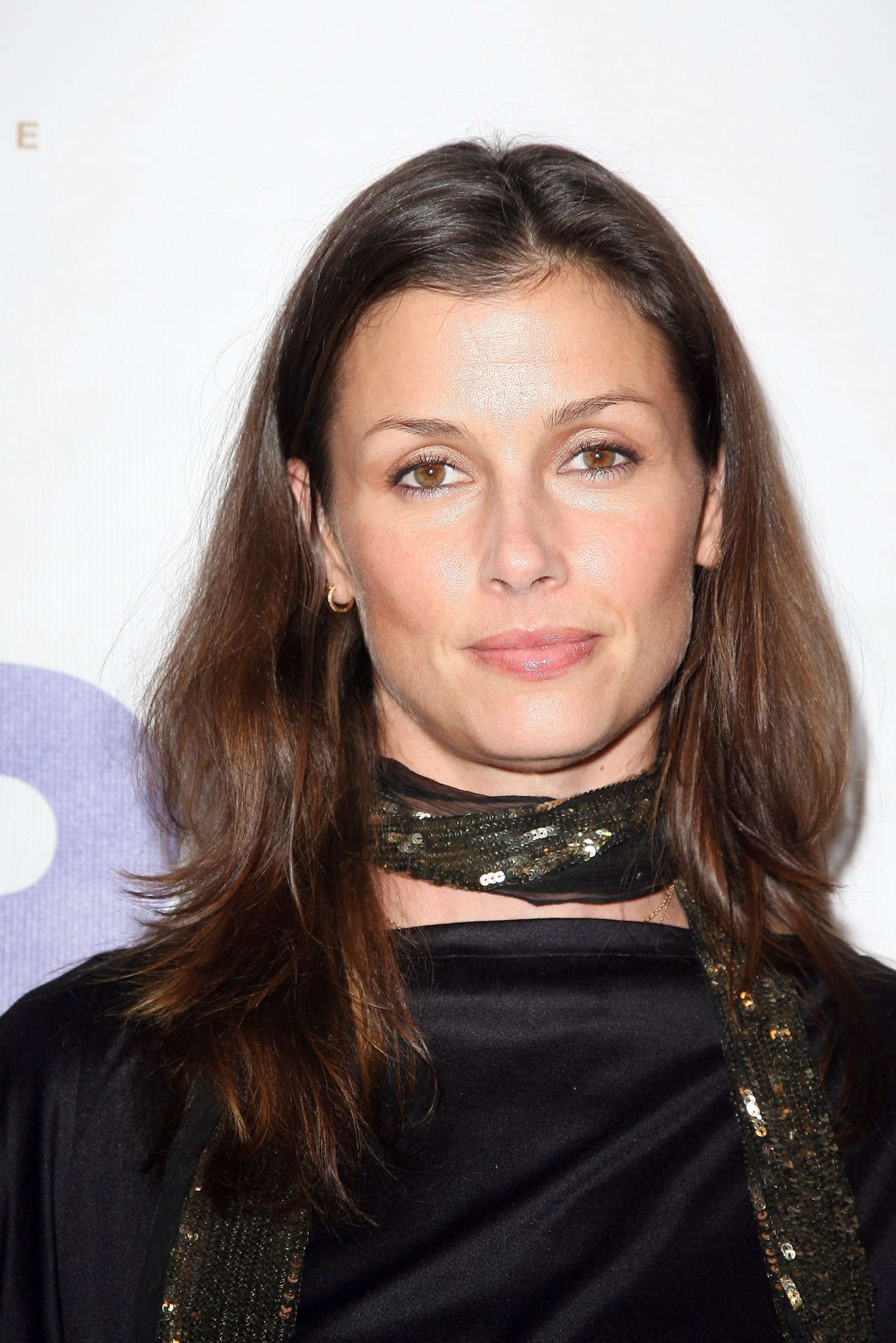 Bridget Moynahan