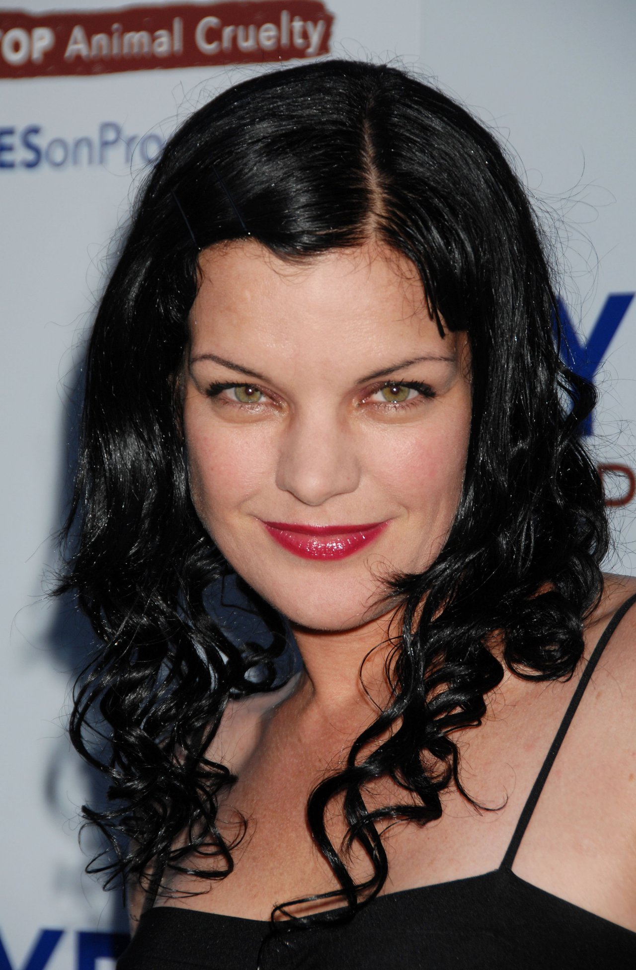 Pauley Perrette