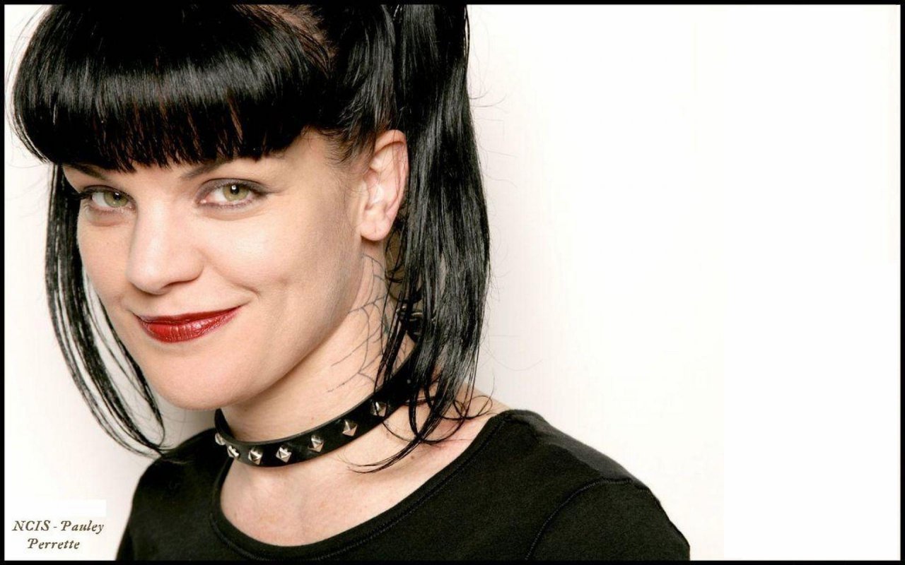 Pauley Perrette