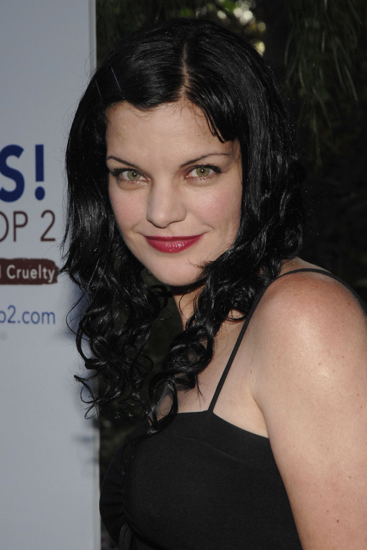 Pauley Perrette