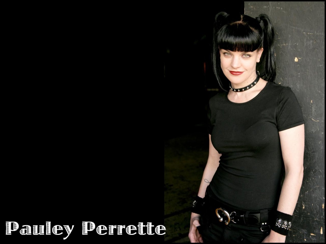 Pauley Perrette