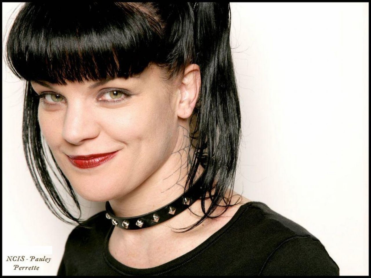 Pauley Perrette