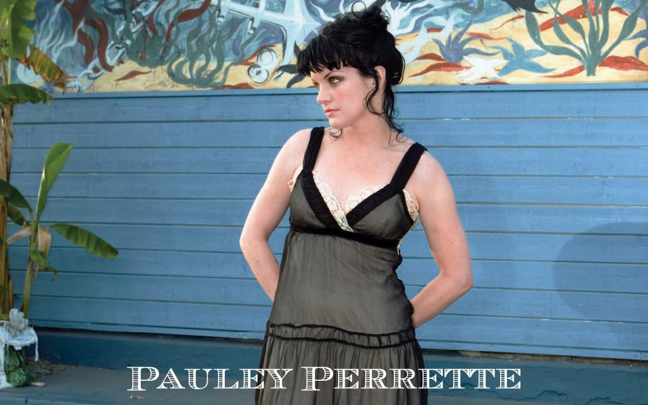 Pauley Perrette