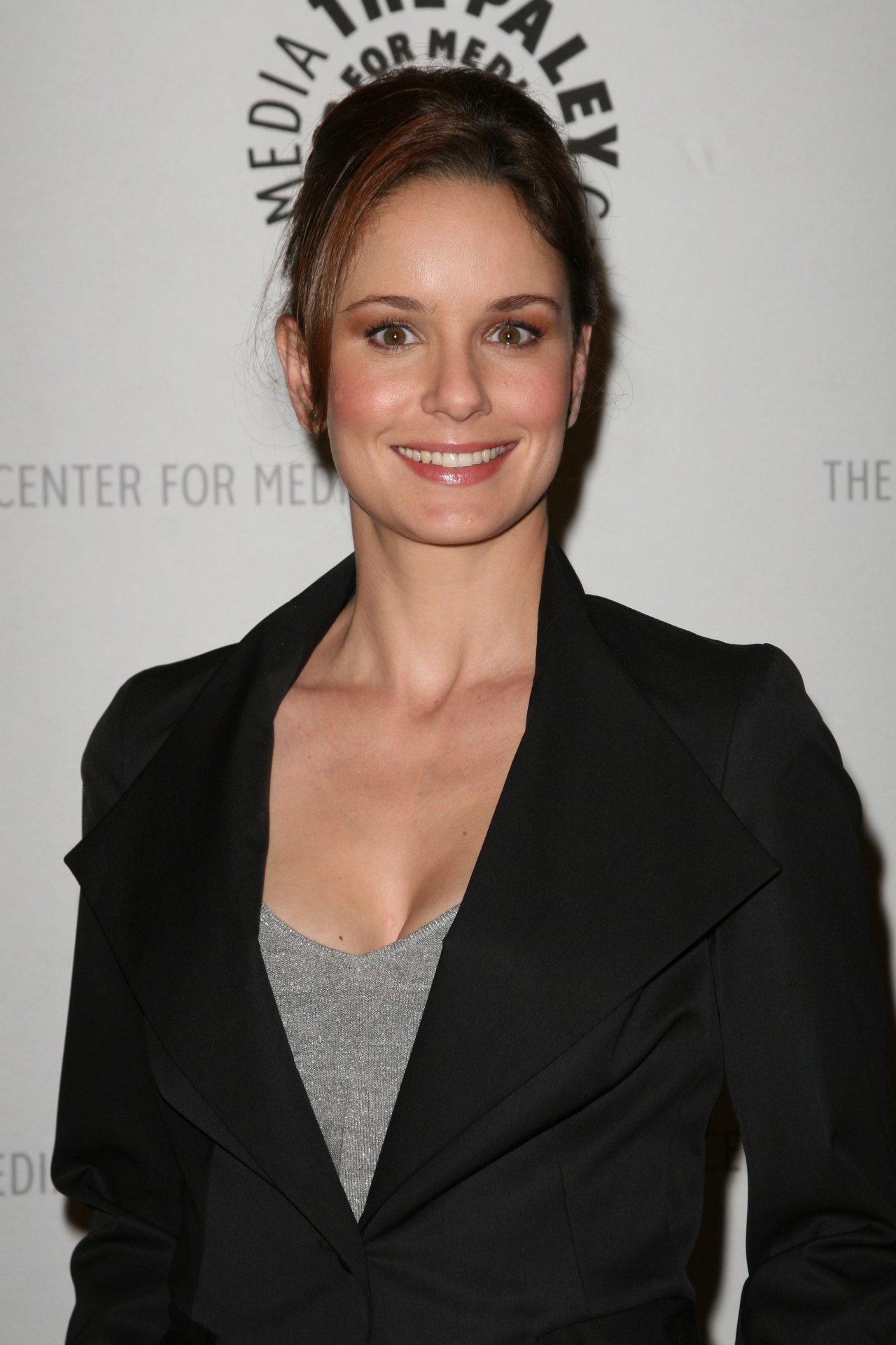 Sarah Wayne Callies