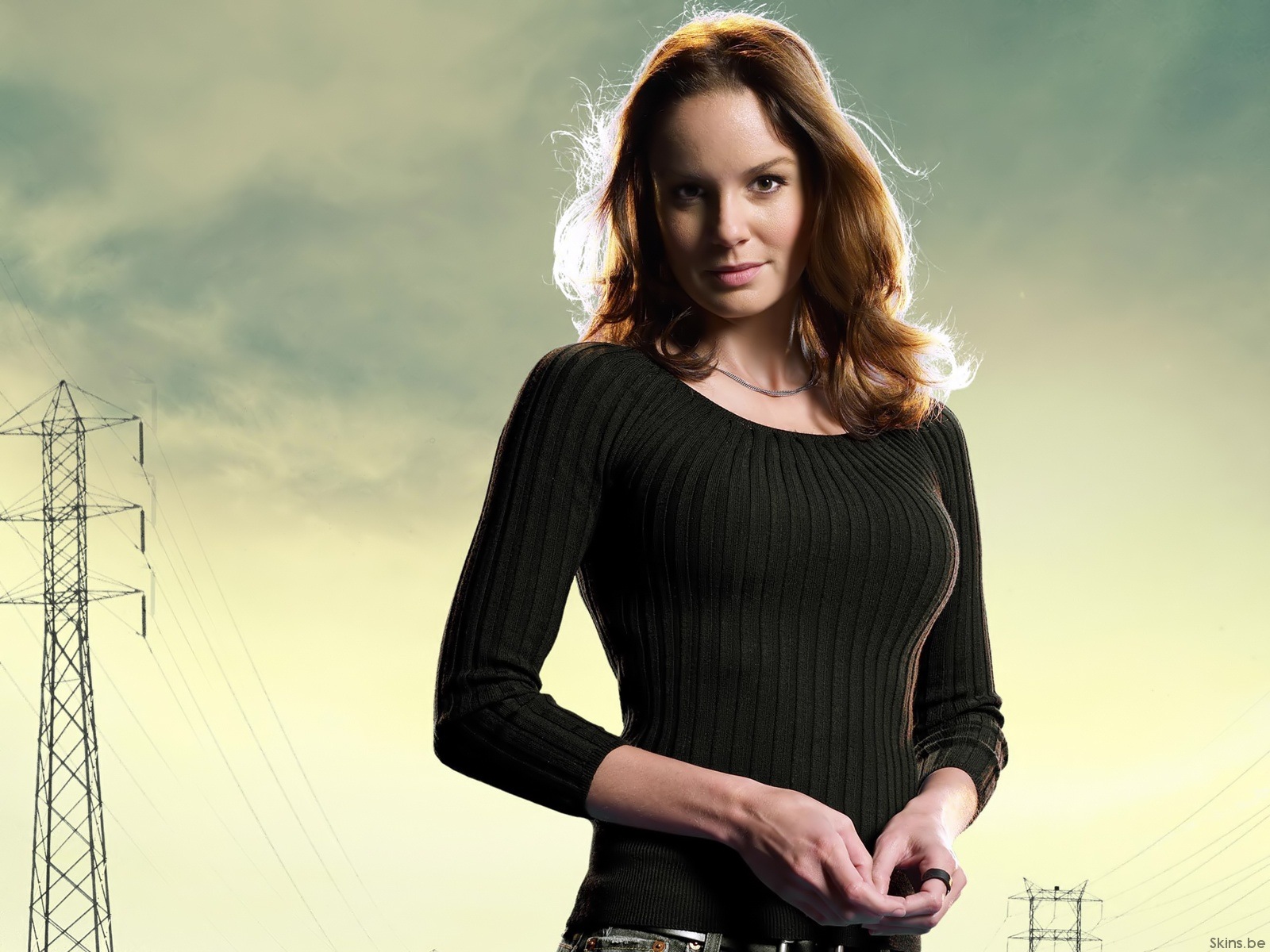 Sarah Wayne Callies